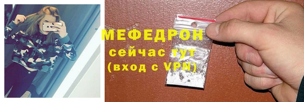 твердый Ельня