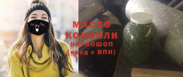 твердый Ельня