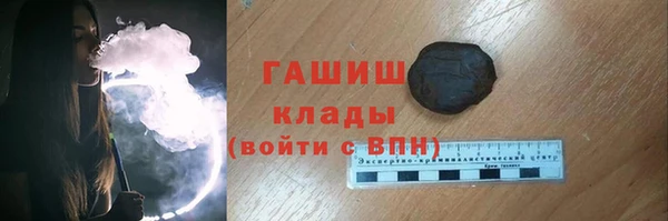 твердый Ельня