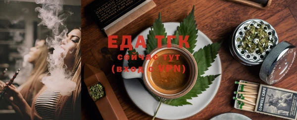 твердый Ельня