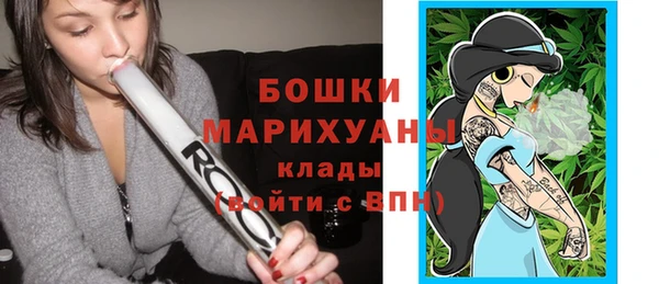 твердый Ельня