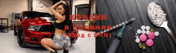 твердый Ельня